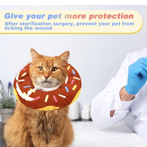 Cat/small dog donut cone - Picture 5 of 6